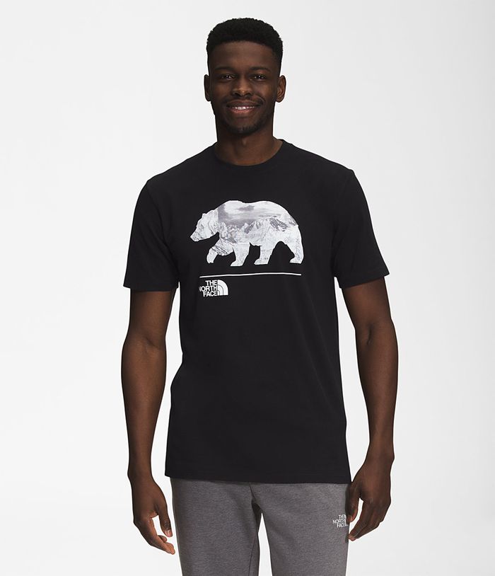 Camiseta The North Face Hombre Bearscape Manga corta Negras - Peru 47538QIZL